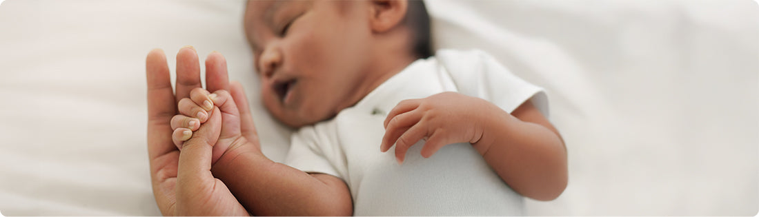 Appetite Drop & Feeding Challenges: When to Seek Professional Help