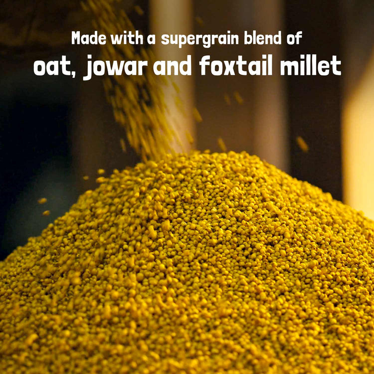 Slurrp Farm Pancake Blueberry Millet Pancake Mix