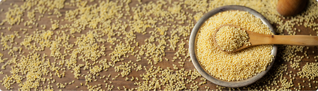 Unlocking the Goodness of Grains Part 1: Millets