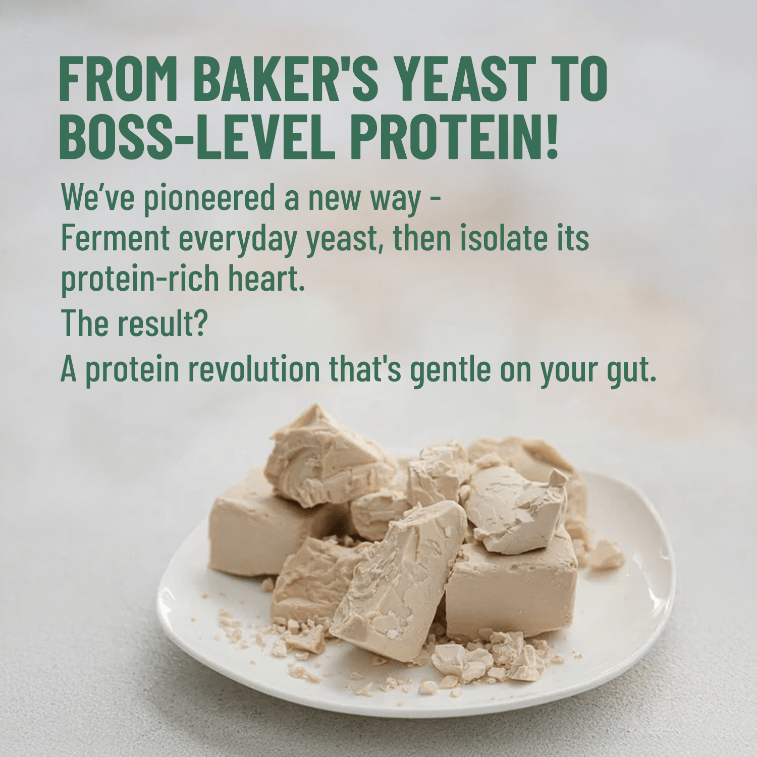 Slurrp Farm MSD Protein Mille Plant Protein | 25g/Scoop | Coffee Hazelnut | Fermented Yeast Protein | No Bloat I Vegan  | 500g