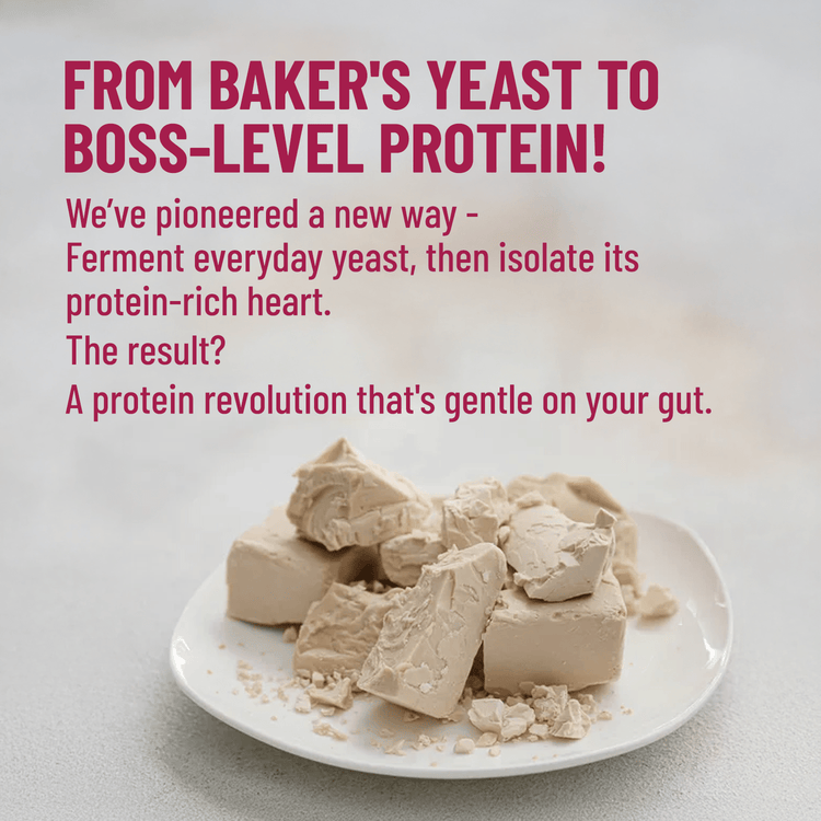 Slurrp Farm MSD Protein Mille Plant Protein | 31g/Scoop | Unflavoured | Fermented Yeast Protein | No Bloat I Vegan  | 500g